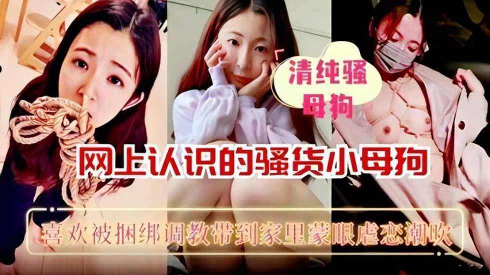 网上认识的骚货母狗喜欢 被捆绑调教带到家里猛操 第二集